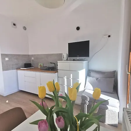 Apartment Twoj Apartament Z Parkingiem W Centrum Krakowa *